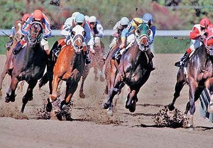 Springhill Shreveport-bossier City/louisiana Downs 3*